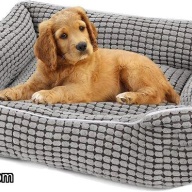 DOOPO Pet Shop Dog / Cat Bed - SMALL