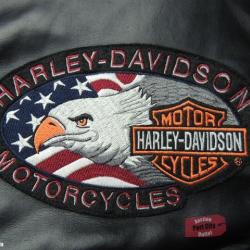 Born To Ride by Harley-Davidson Child&#039;s Biker Style Jacket